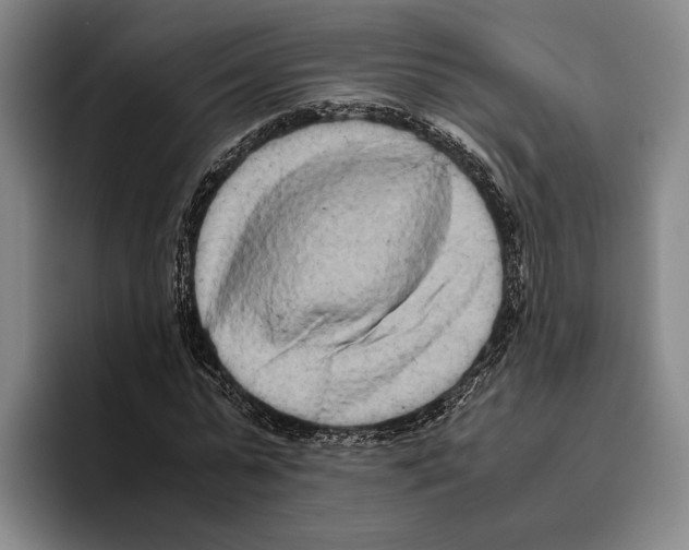 X0000096140775200802151333
