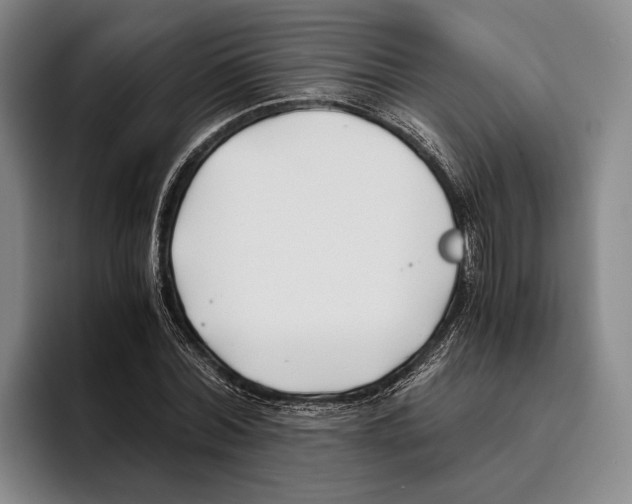 X0000096140780200802151333