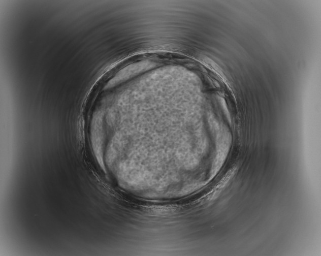 X0000096140781200802151333