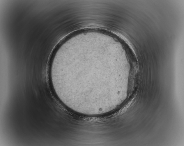 X0000096140783200802151333