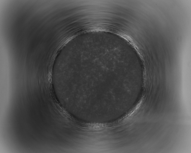 X0000096140785200802151333