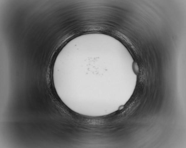 X0000096140786200802151333