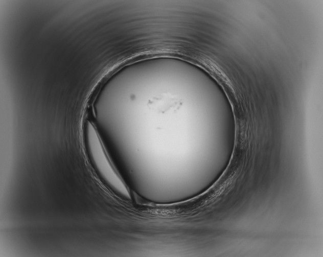 X0000096140789200802151333