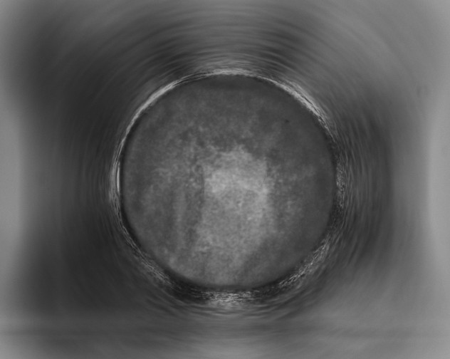 X0000096140790200802151333