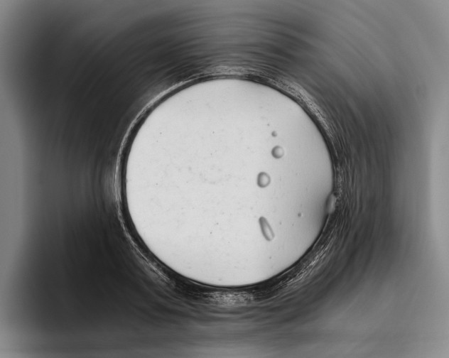 X0000096140795200802151333