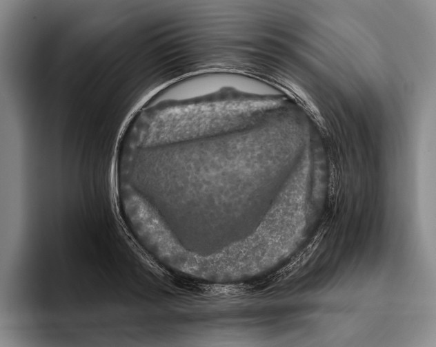 X0000096140796200802151333