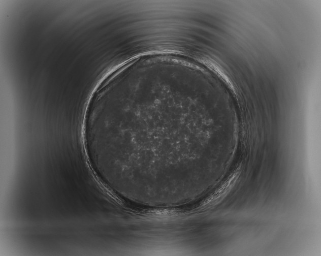 X0000096140797200802151333