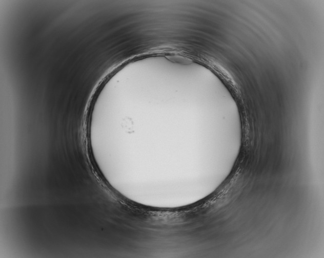 X0000096140800200802151333