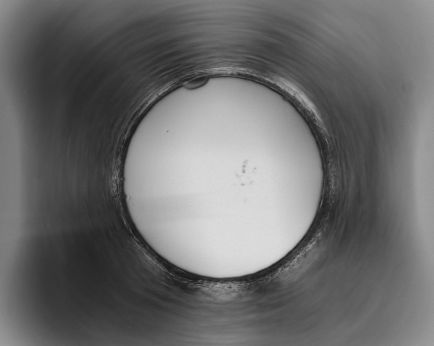 X0000096140801200802151333