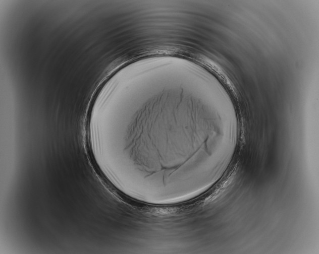 X0000096140802200802151333