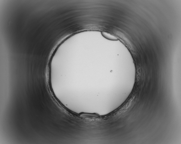 X0000096140804200802151333