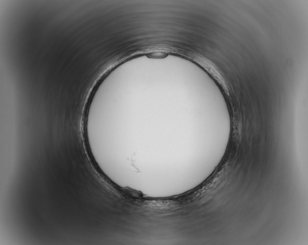 X0000096140805200802151333