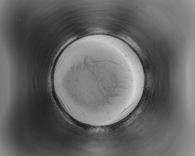 X0000096140806200802151333