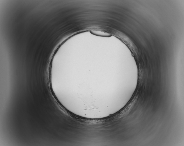 X0000096140808200802151333