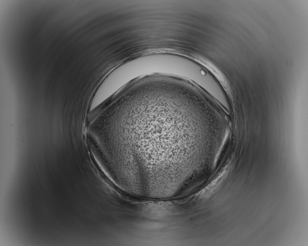 X0000096140809200802151333