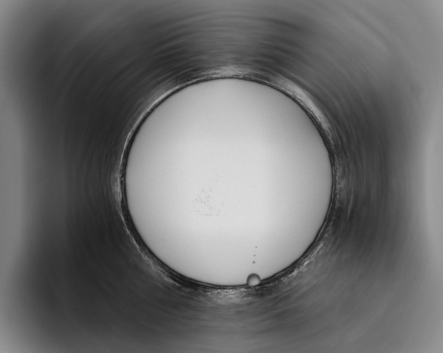 X0000096140810200802151333