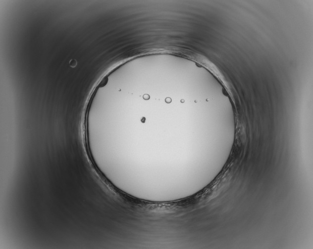 X0000096140811200802151333