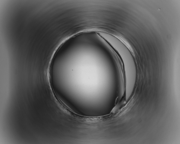 X0000096140813200802151333