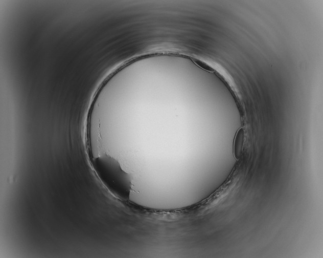 X0000096140815200802151333