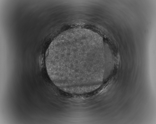 X0000096140818200802151332