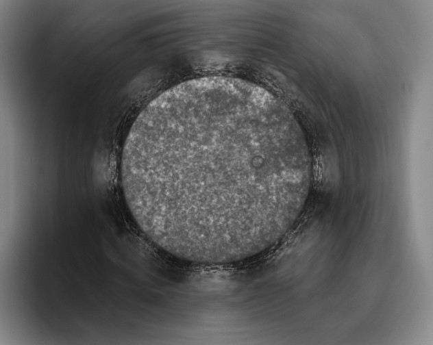 X0000096140820200802151332