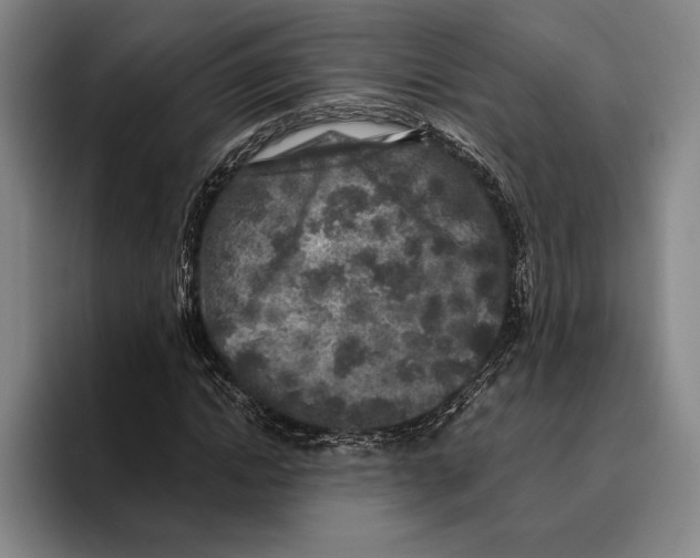 X0000096140822200802151332