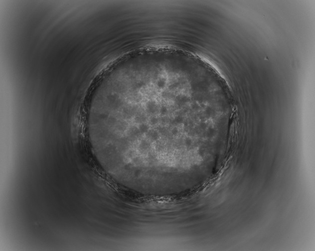 X0000096140823200802151332