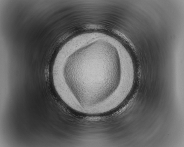 X0000096140825200802151332