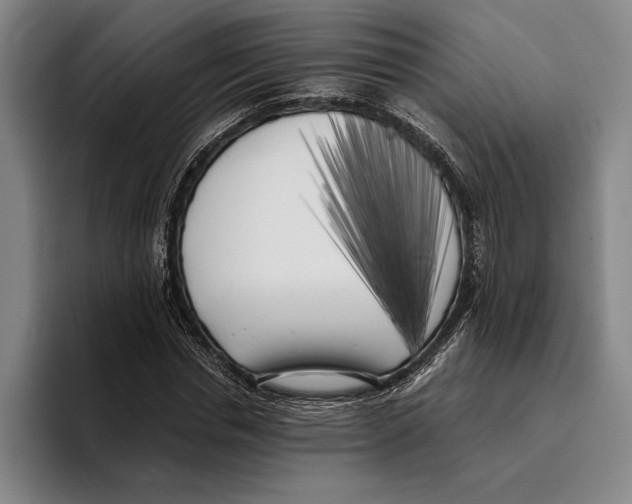X0000096140826200802151332