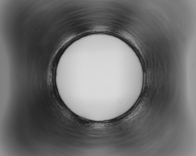 X0000096140827200802151332