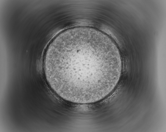 X0000096140828200802151332