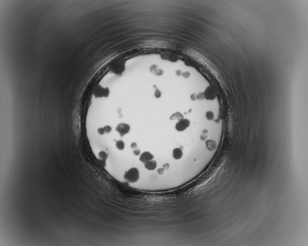 X0000096140829200802151332