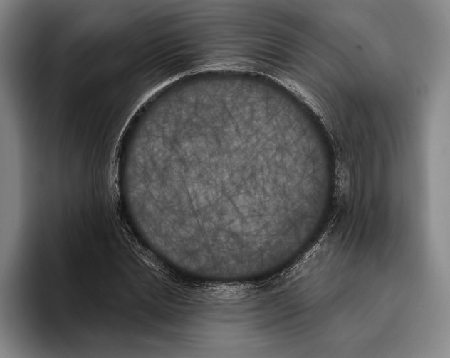 X0000096140830200802151332