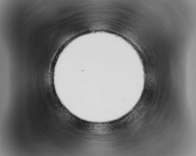 X0000096140832200802151332