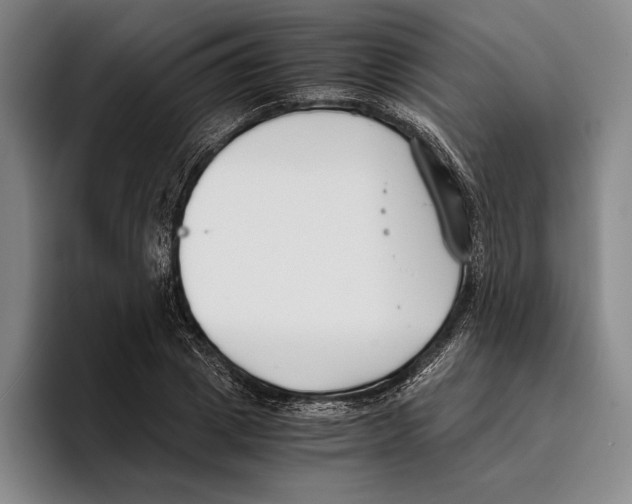 X0000096140833200802151332