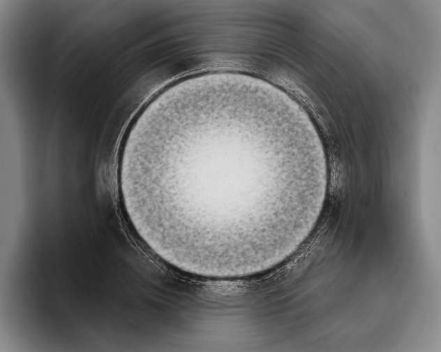 X0000096140836200802151332