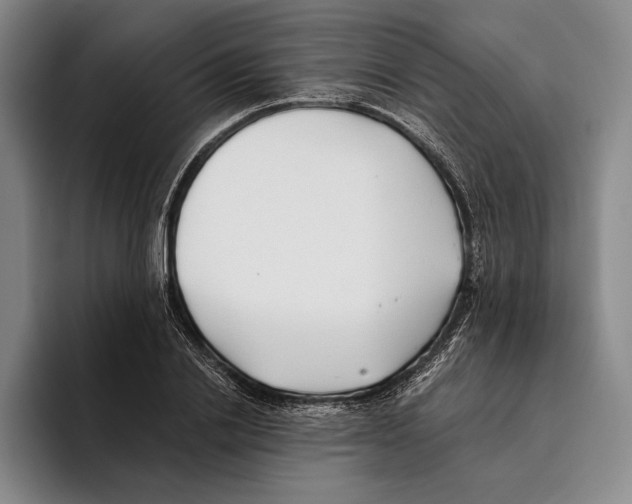 X0000096140838200802151333
