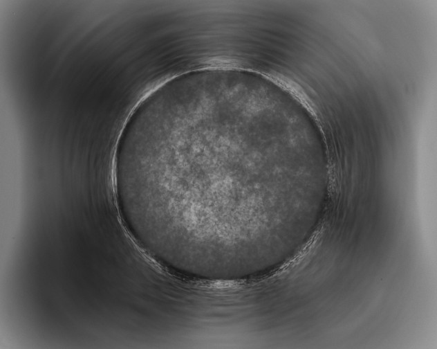 X0000096140839200802151333