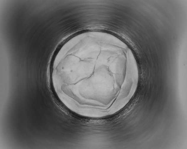 X0000096140840200802151333