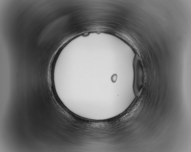 X0000096140843200802151333