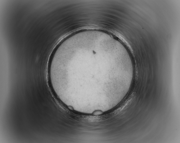 X0000096140845200802151333