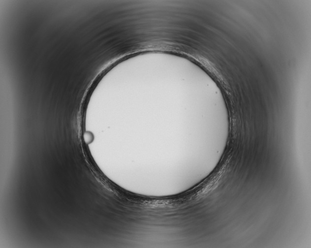 X0000096140846200802151333