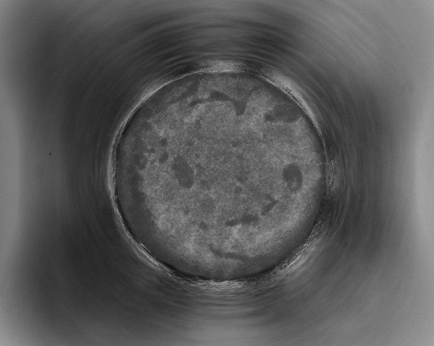 X0000096140851200802151333