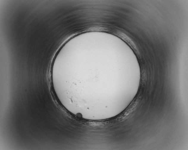X0000096140852200802151333