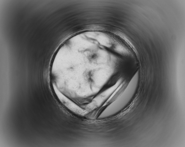 X0000096140853200802151333