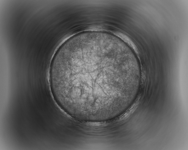 X0000096140855200802151333