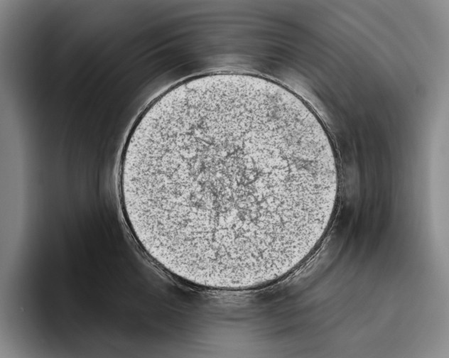 X0000096140856200802151333