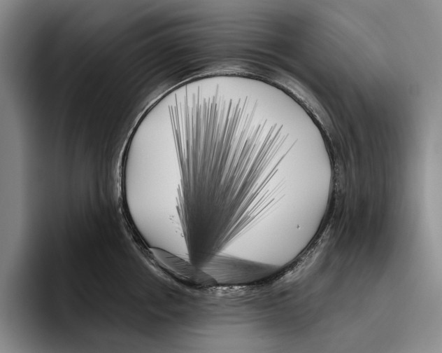 X0000096140858200802151333