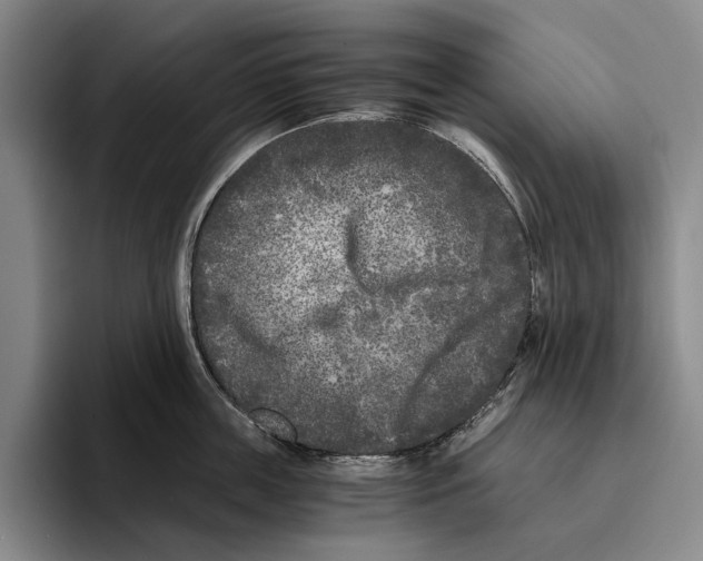 X0000096140859200802151333