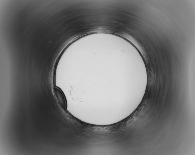 X0000096140861200802151333